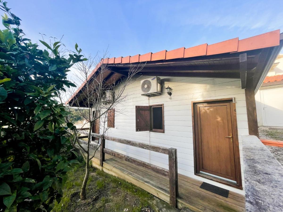 Jantesta Guest House Coimbra Luaran gambar